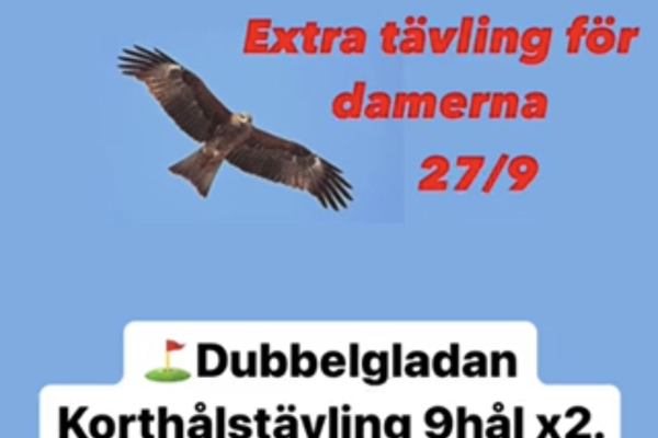 Nyhetsbrev vecka 34 2023