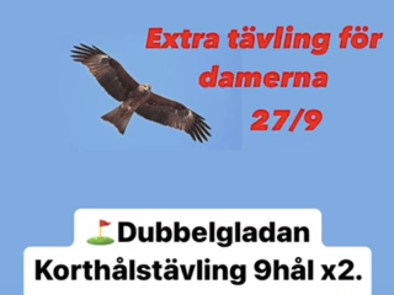 Nyhetsbrev vecka 34 2023