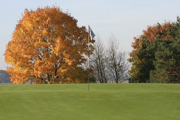 Juniorlandskamp på Tomelilla Golf i helgen!