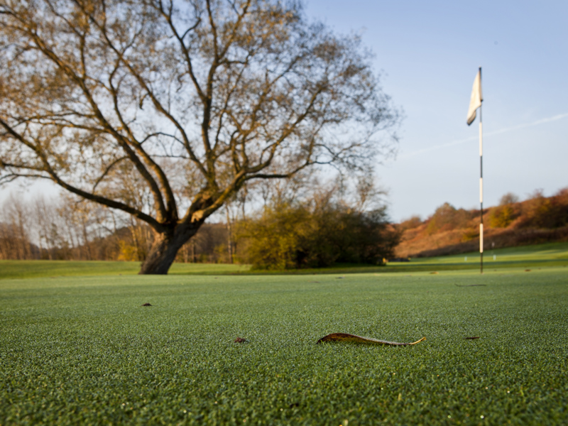 Trivselgolf för damer