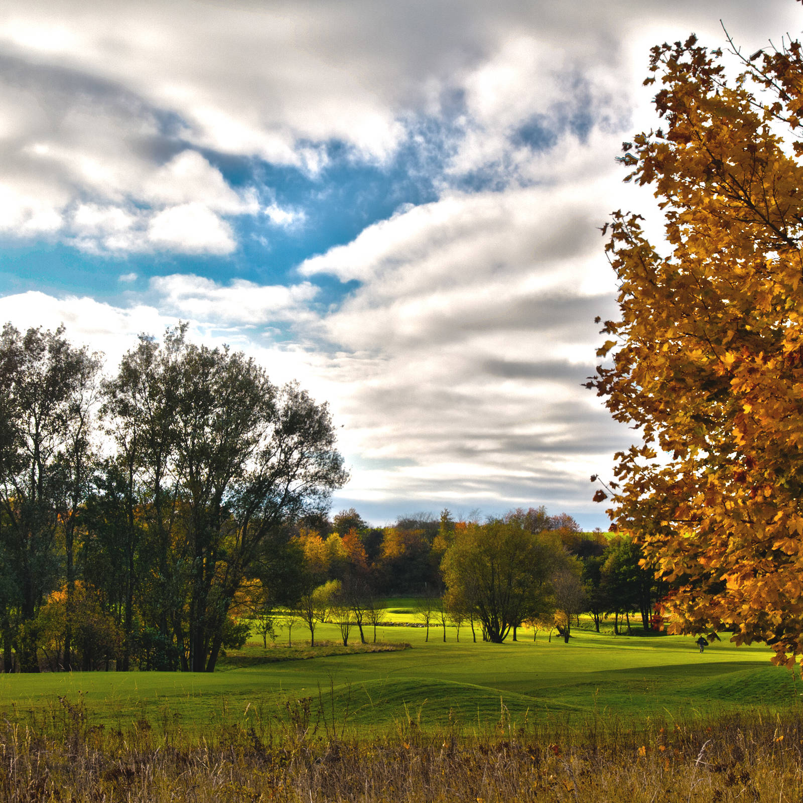 Hål 15 HDR2 1